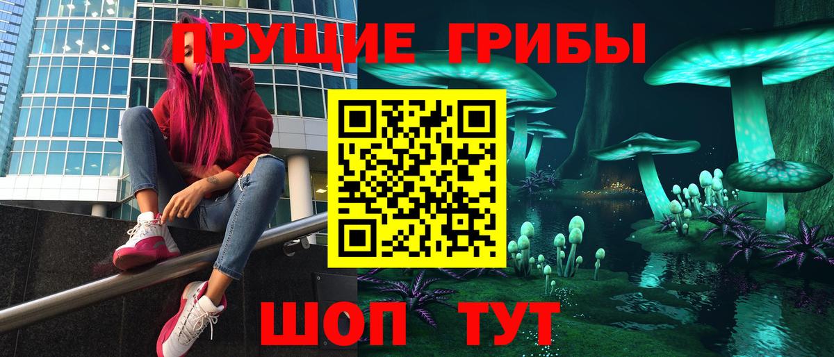 Галлюциногенные грибы MAGIC MUSHROOMS  Псилоцибиновые грибы Cubensis  Пенза  Вход с VPN 