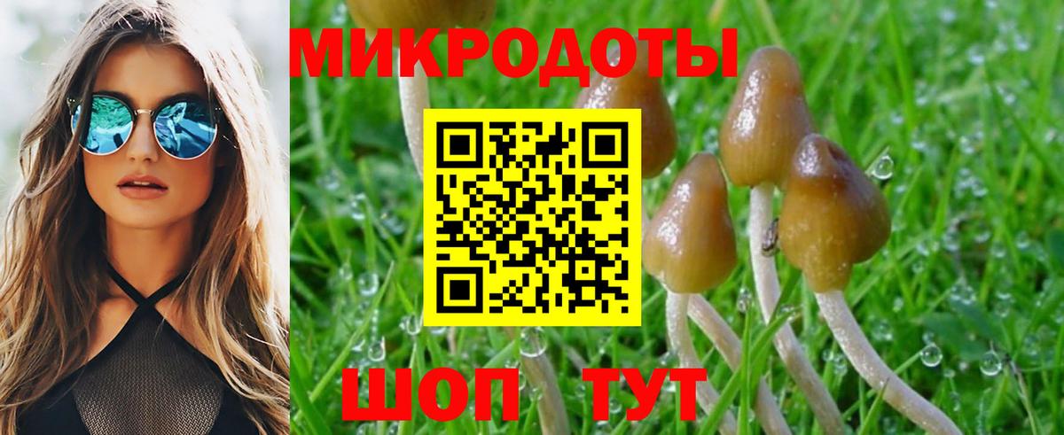 Галлюциногенные грибы мухоморы Пенза